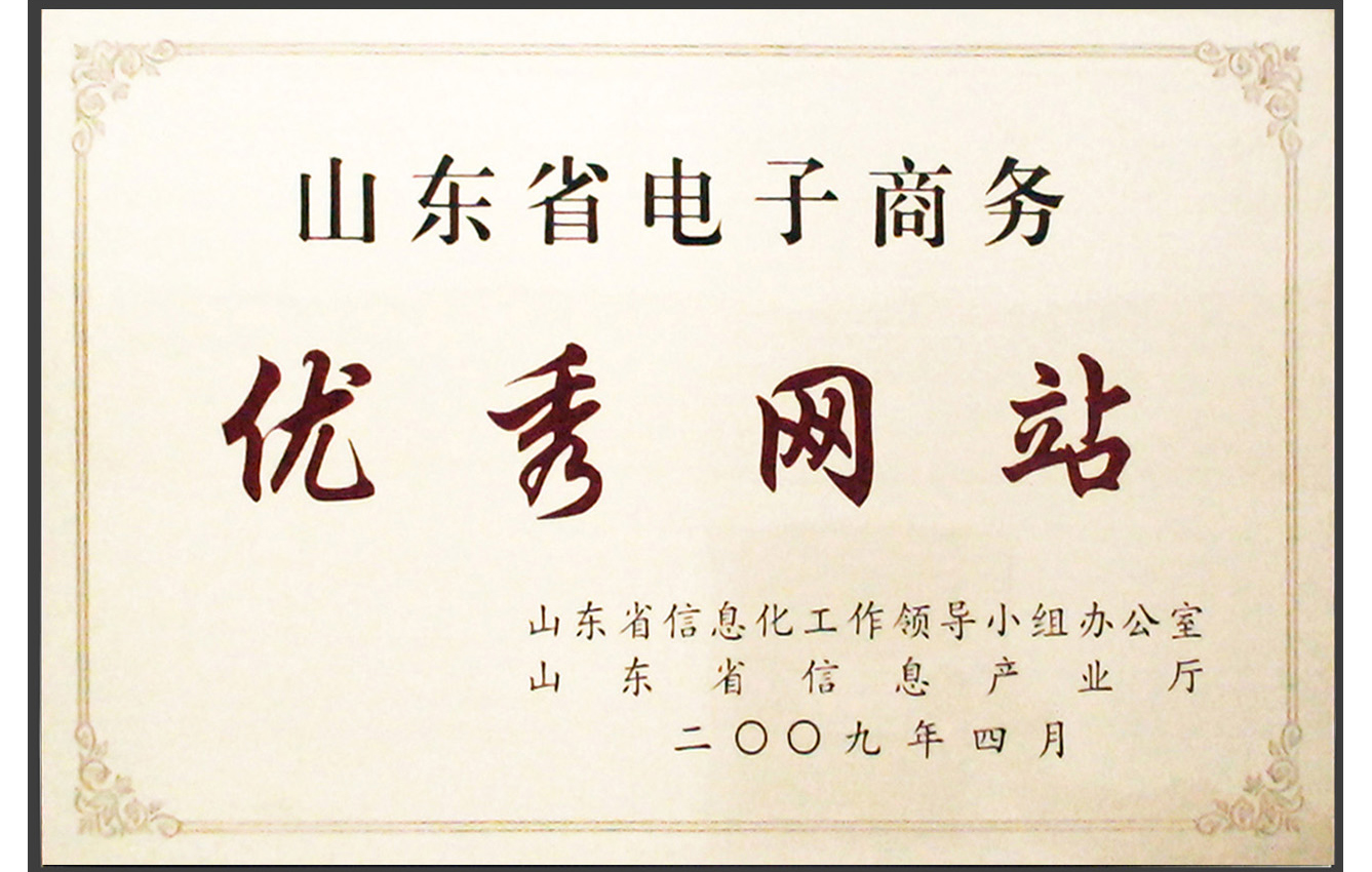 主題：山東省電子商務(wù)優(yōu)秀網(wǎng)站 日期：2009-06-05